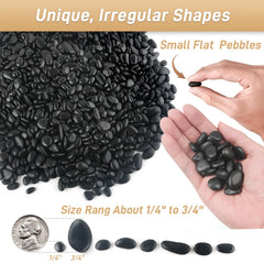 Close-up of polished black pebbles showing unique shapes