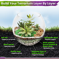 Close-up of pumice and zeolite in the terrarium kit