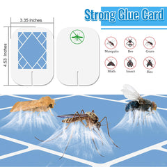 Close-up of Qualirey glue board for insect traps