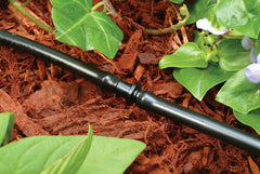Close-up of Rain Bird 1/4 inch self-piercing drip adapter fitting