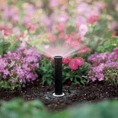 Close-up of Rain Bird 1804HEVNPR nozzle adjustment collar