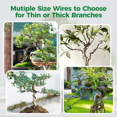 Close-up of RASKOO Bonsai Wire in black, green, and brown