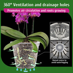Close-up of REMIAWY Orchid Pot with soil and orchid plant