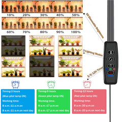 Close-up of Rocoking grow light LED bulbs