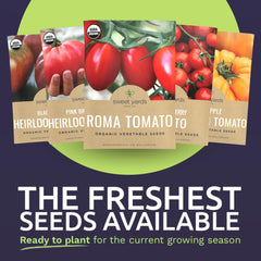Close-up of Roma Tomato seeds packaging