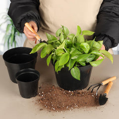 Close-up of RooTrimmer 4-inch black nursery pot with drainage holes