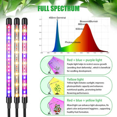 Close-up of RWNTAO LED Grow Light showing red, blue, and yellow LEDs