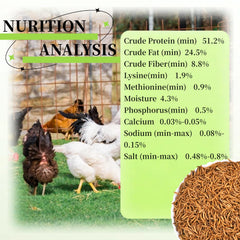 Close-up of SANSECT Dried Mealworms showing texture