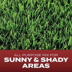 Close-up of Scotts Turf Builder Grass Seed coated seeds