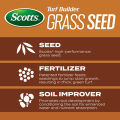 Close-up of Scotts Turf Builder Grass Seed showing grain texture