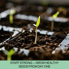 Close-up of seed starter tray cell measuring 1.5 inches square