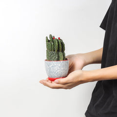 Close-up of Selamica ceramic pot with drainage hole