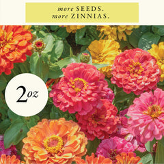 Close-up of Sereniseed zinnia seeds in brown packaging
