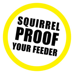 Close-up of Slinky Scram, Squirrel showing its 36-inch length