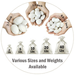 Close-up of smooth white pebbles 0.8-1.2 inch
