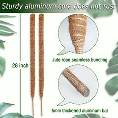 Close-up of Soupiar moss pole showing natural coir material