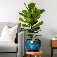 Close-up of SQOWL 10 Inch Ceramic Planter Pot showing the peacock blue glaze