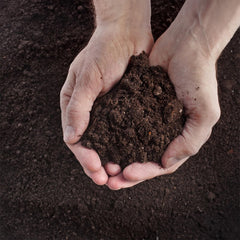 Close-up of SuperMoss Potting Mix texture and ingredients