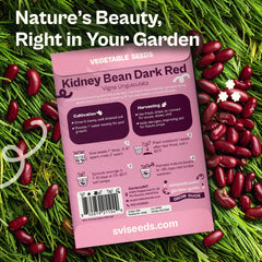 Close-up of SVI Dark Red Kidney Beans Seeds