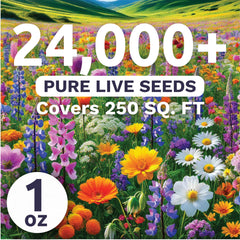 Close-up of SWEET YARDS wildflower seeds in premium packaging
