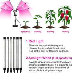 Close-up of SYEIORAOM six-head LED grow light