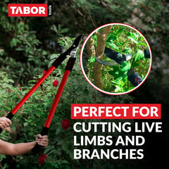 Close-up of TABOR TOOLS lopper blades demonstrating sharpness