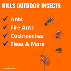 Close-up of Terro Ant Killer Plus granules