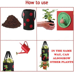 Close-up of the breathable felt material of the planter