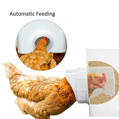 Close-up of the chicken feeder ports in the automatic feeder