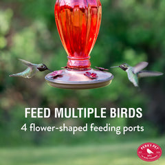 Close-up of the four feeder ports on Perky-Pet Hummingbird Feeder