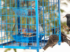 Close-up of the grid openings on Mosloly Bluebird Feeder
