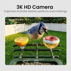 Close-up of the HEAPETS Smart Bird Feeder camera and solar panel