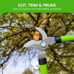 Close-up of the high carbon steel blades on Garden Guru Loppers