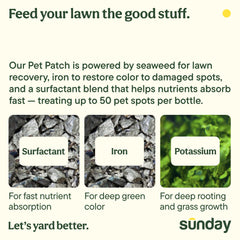 Close-up of the hose-end sprayer for SUNDAY Pet Patch