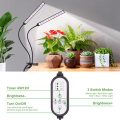 Close-up of the LED configuration on Hywyimlait grow light