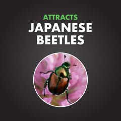Close-up of the lure system for Japanese Beetle Trap