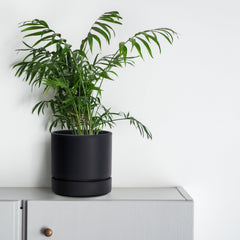 Close-up of the matte finish on Phoenix Vine 6 Inch Planter Pot