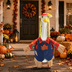 Close-up of the vibrant scarecrow design on the goose outfit