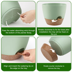 Close-up of the wick system in QRRICA self-watering pot