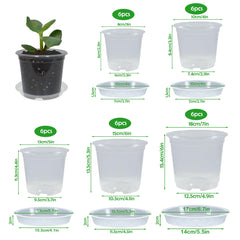 Close-up of TNTIWQ nursery pot with drainage holes