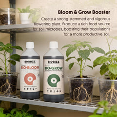Close-up of Top Max bottle, 250ml size, part of BioBizz Try Pack Indoor