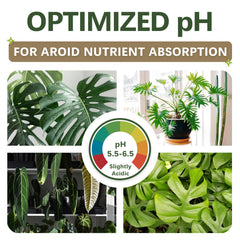 Close-up of Top Tier Genetics AROID Soil Blend showing texture