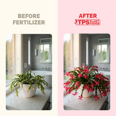 Close-up of TPS NUTRIENTS Christmas Cactus Fertilizer label