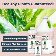 Close-up of TPS NUTRIENTS Fiddle Leaf Fig Fertilizer label
