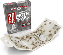 Close-up of TRAP A PEST Moth Trap adhesive surface