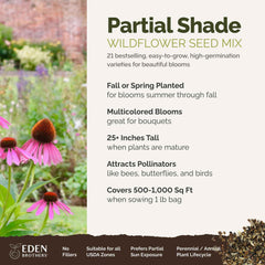 Close-up of various flower seeds included in the mix