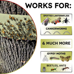 Close-up of W4W Tree Tape showing adhesive quality