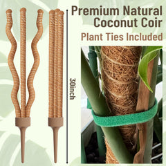 Close-up of WANLINK moss pole with coco coir material
