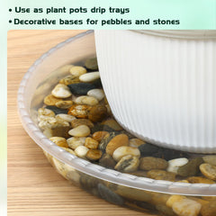 Close-up of WTXHOP 9 Inch Clear Plant Saucer