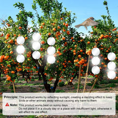 Close-up of XPCARE bird scare reflective disc